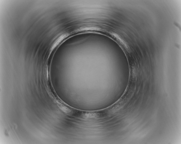 X0000094211274200710261203