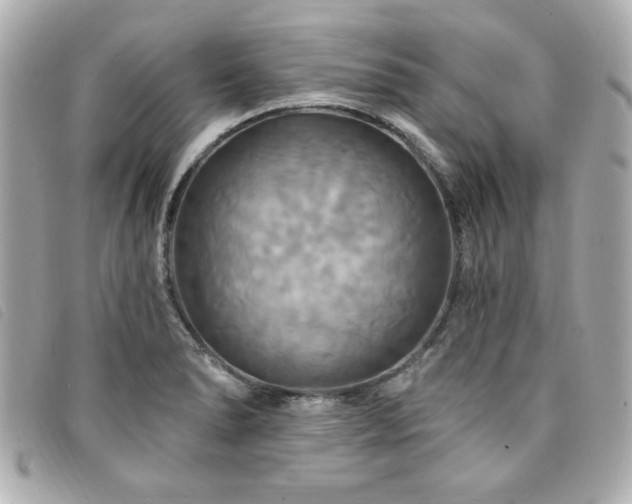 X0000094211278200710261203