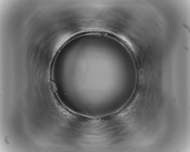 X0000094211279200710261203