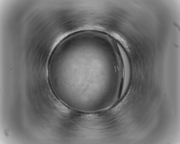 X0000094211280200710261203