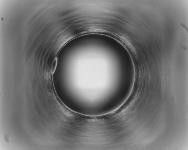 X0000094211281200710261203