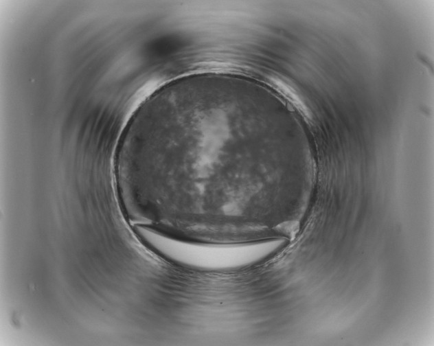 X0000094211283200710261203