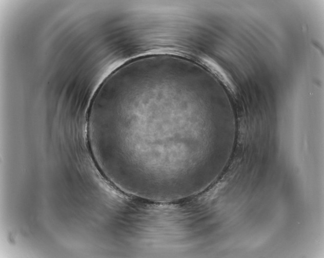 X0000094211284200710261203