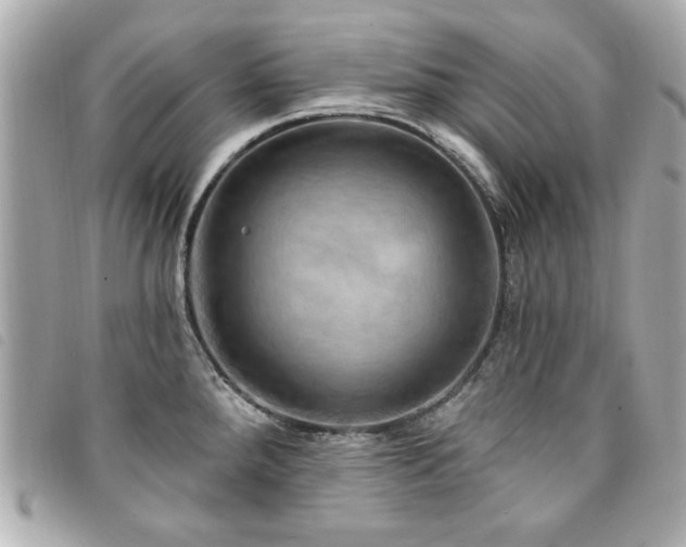 X0000094211288200710261203