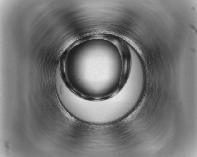 X0000094211289200710261203