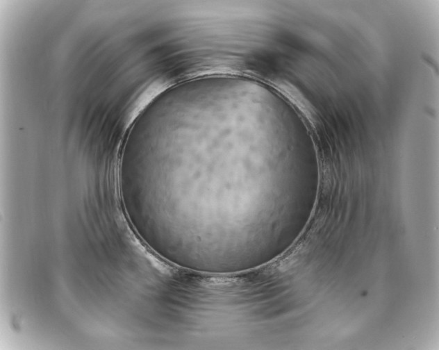X0000094211290200710261203