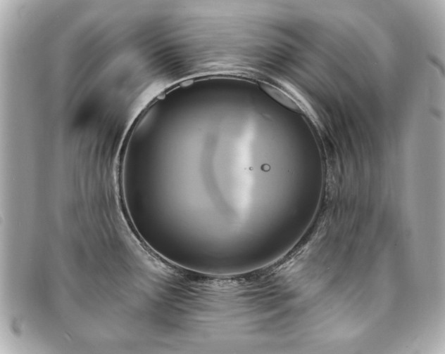 X0000094211291200710261203