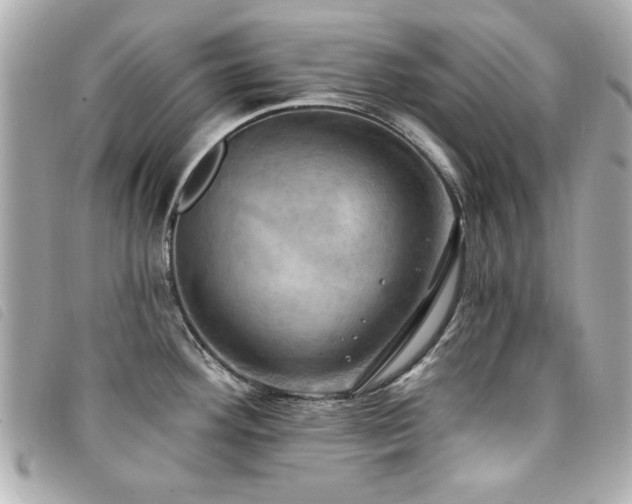 X0000094211292200710261203