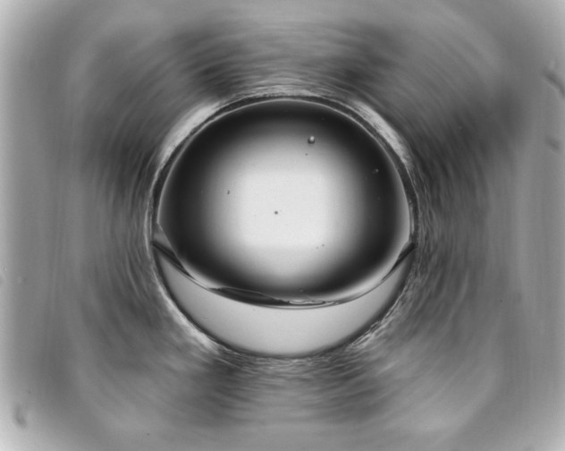 X0000094211293200710261203
