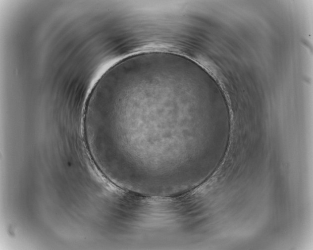 X0000094211296200710261203