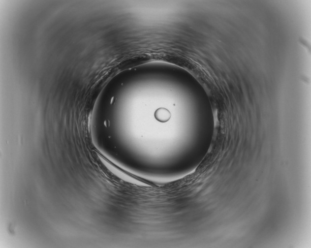 X0000094211298200710261202