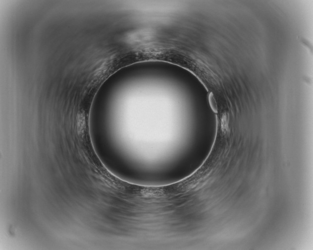 X0000094211299200710261202