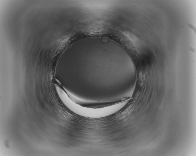 X0000094211300200710261202