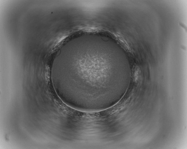 X0000094211301200710261202