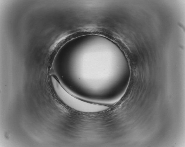 X0000094211304200710261203