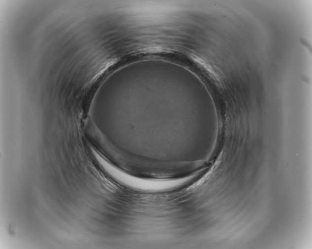 X0000094211305200710261203