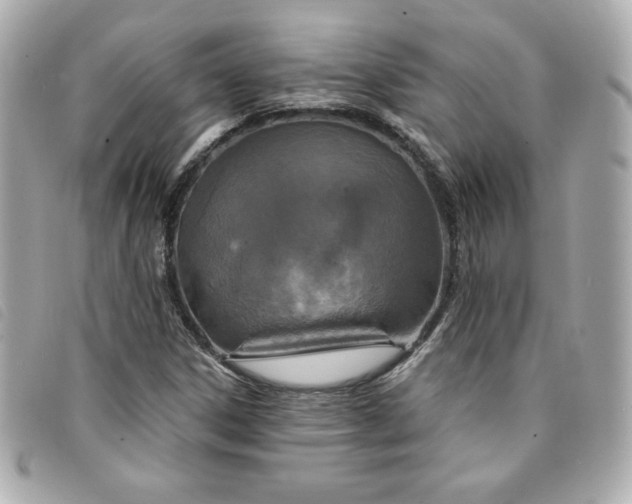 X0000094211306200710261203