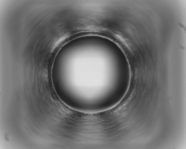 X0000094211307200710261203