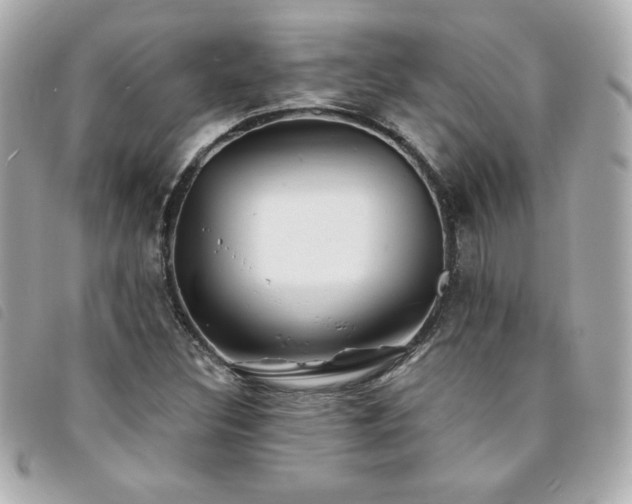 X0000094211308200710261203