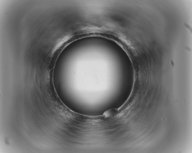 X0000094211309200710261203