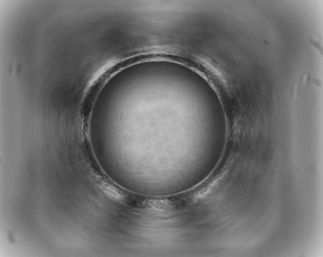 X0000094211310200710261203