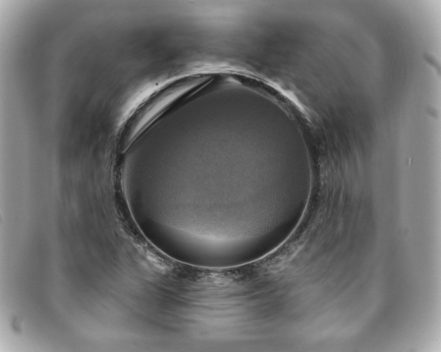 X0000094211311200710261203