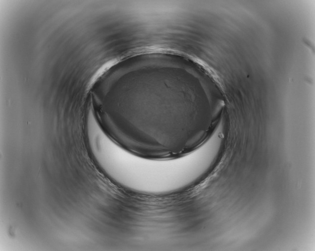 X0000094211314200710261203