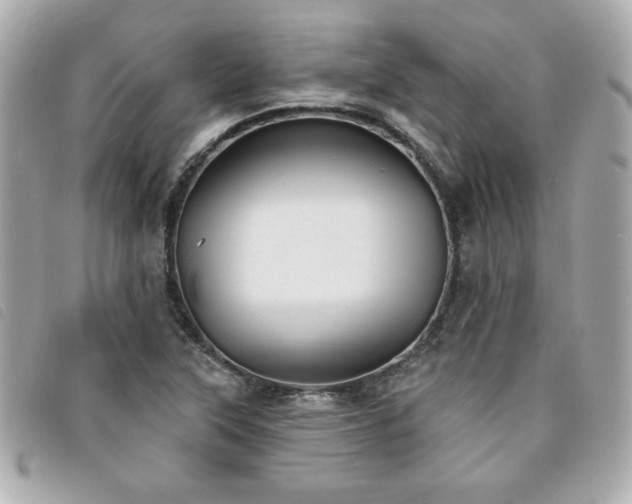 X0000094211315200710261203