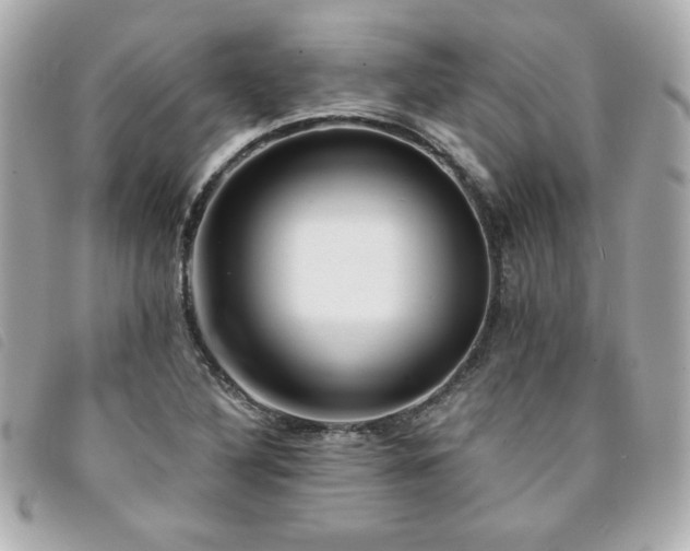 X0000094211316200710261203