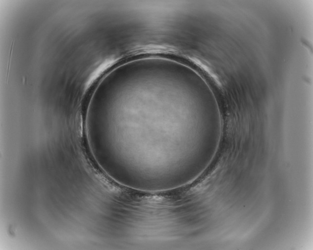 X0000094211317200710261203