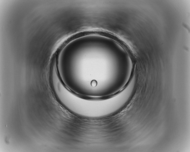 X0000094211319200710261203