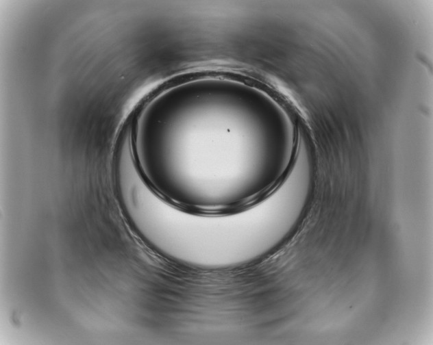 X0000094211320200710261203