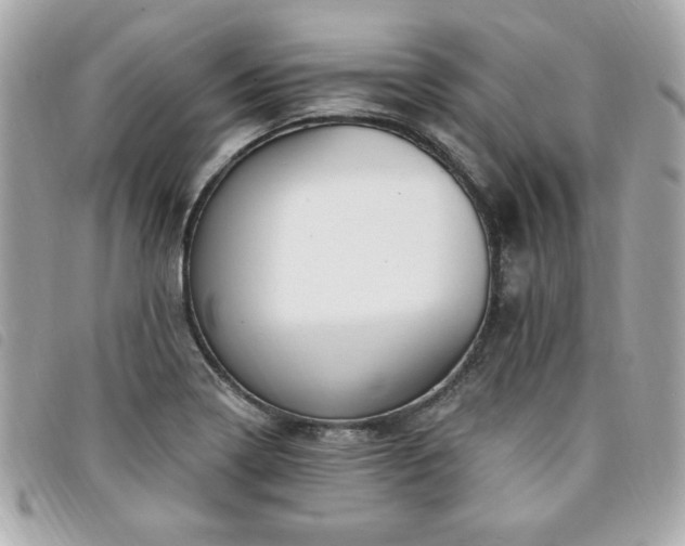 X0000094211322200710261203