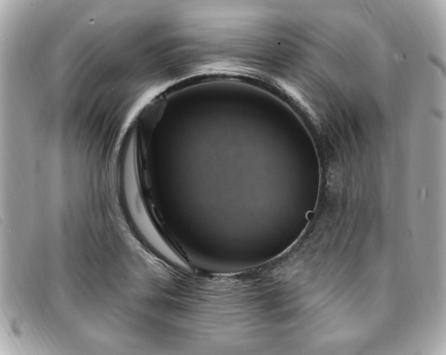X0000094211323200710261203