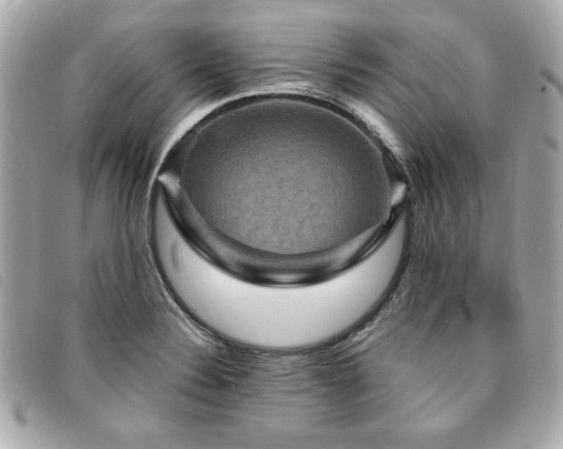 X0000094211324200710261203