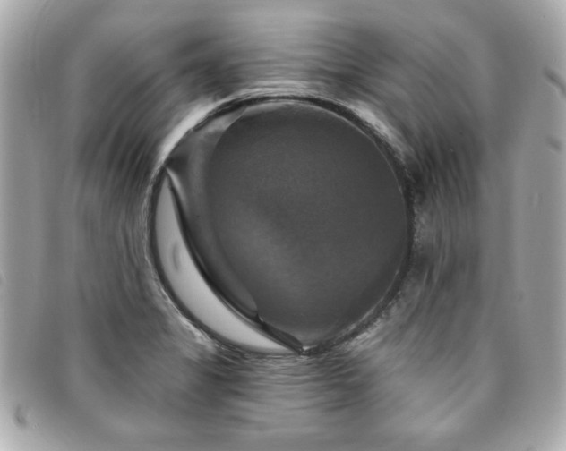 X0000094211325200710261203