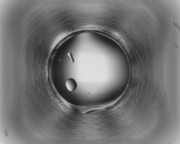 X0000094211328200710261203