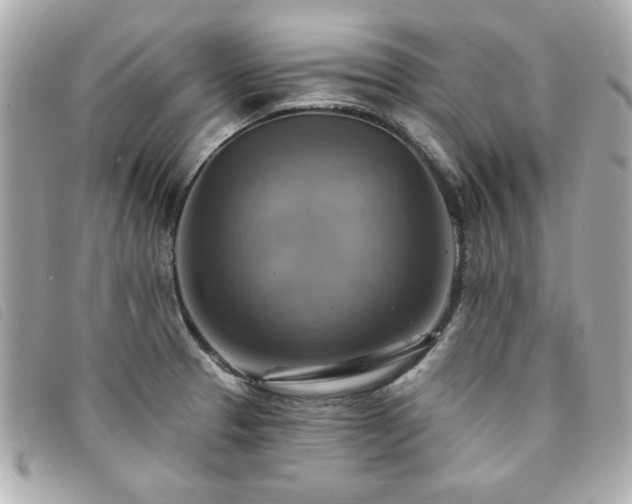 X0000094211329200710261203