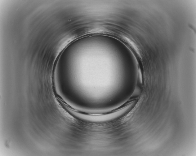 X0000094211330200710261203