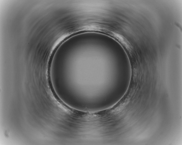 X0000094211331200710261203
