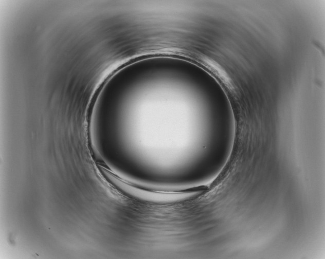 X0000094211332200710261203