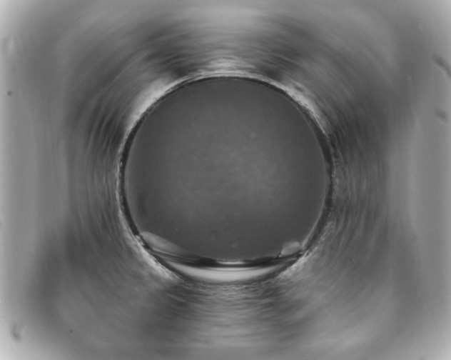X0000094211333200710261203