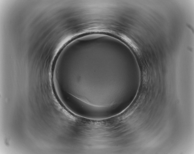 X0000094211334200710261203