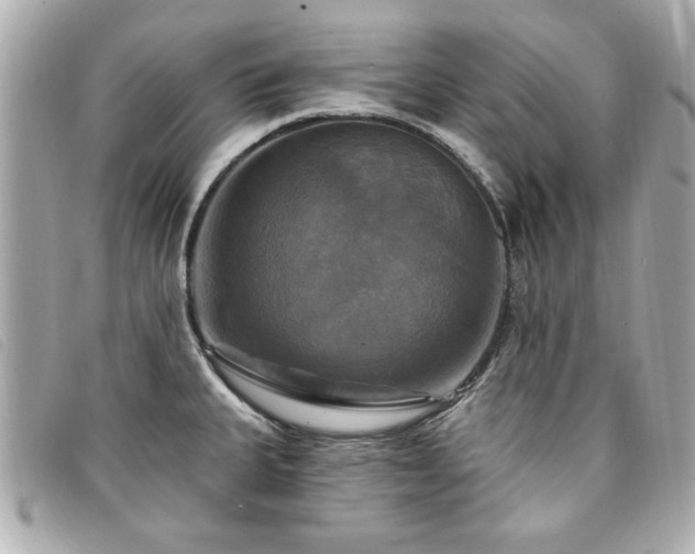 X0000094211335200710261203