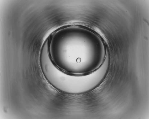 X0000094211336200710261203