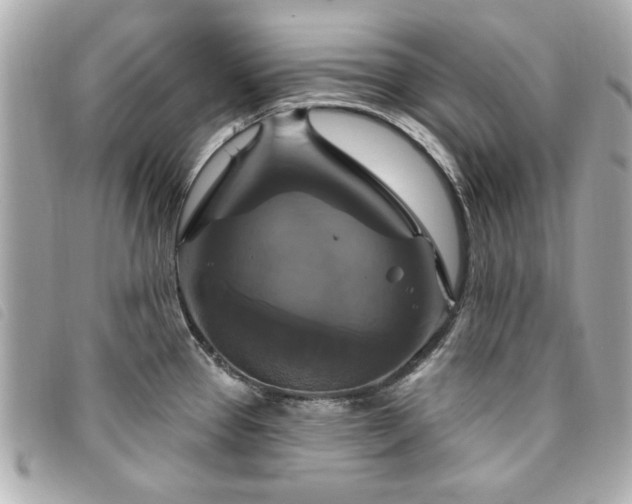X0000094211337200710261203