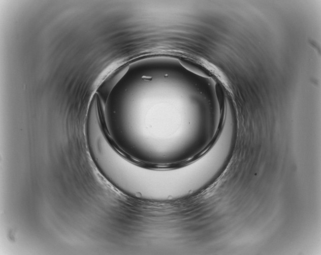 X0000094211338200710261203