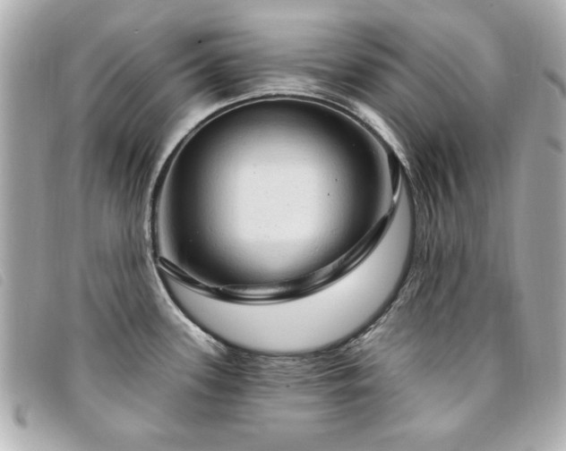 X0000094211339200710261203