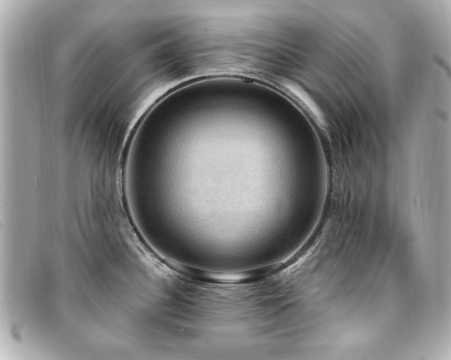 X0000094211340200710261203