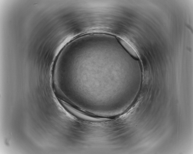 X0000094211341200710261203